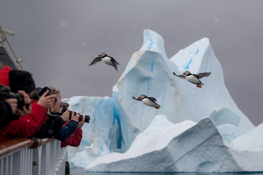 polar cruises seabird watching