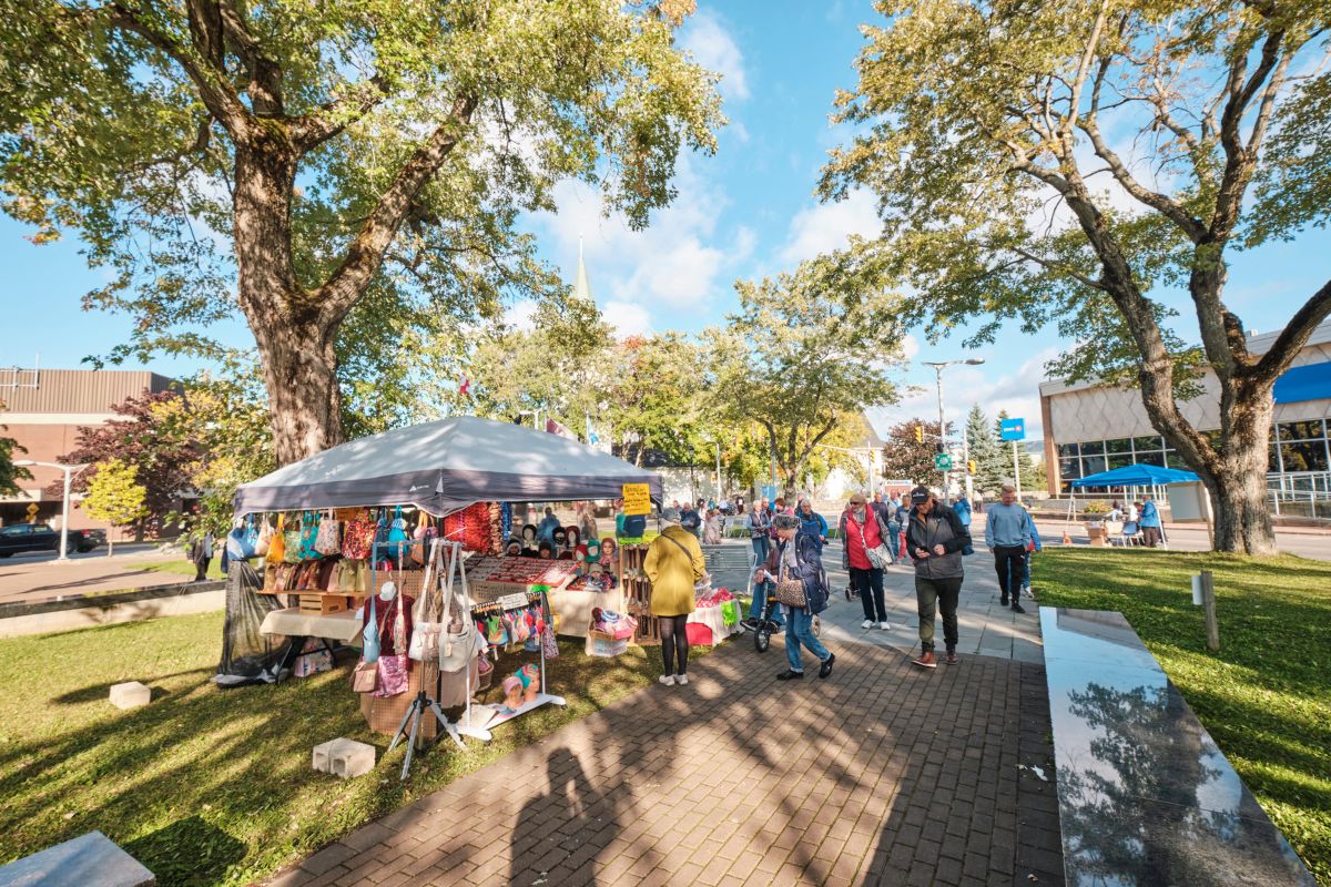 Corner Brook city. Cruise Ship Passenger Port of Call Guide to Corner Brook, Newfoundland, Canada