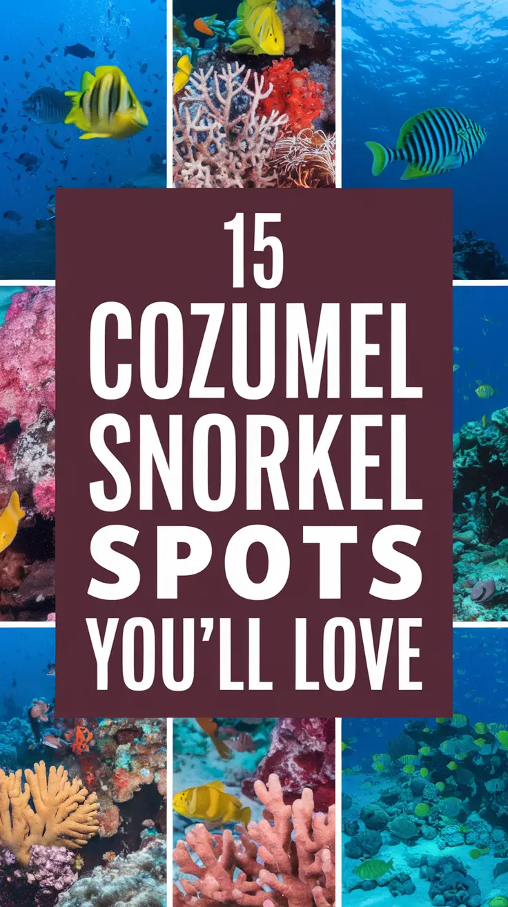 Big text overlay saying: 15 Cozumel Snorkel Spots You'll Love, with thick, distinctive bold white lettering on a dark-colored box, surrounded by a vibrant collage of realistic images.