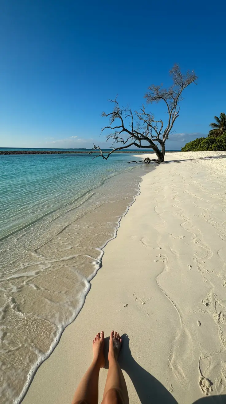 A vibrant lifestyle advertisement for an Aruba cruise guide showcasing a stunning aerial view of a luxury cruise ship sailing through turquoise waters toward a pristine white-sand beach lined with palm trees, under a clear blue sky with fluffy clouds and golden hour lighting; bold text reads "Aruba Cruise Guide: 6 Hours" in the upper left, enhanced by subtle lens flares, depth of field blur, and a cinematic, minimalist composition that evokes tropical luxury and effortless escape.