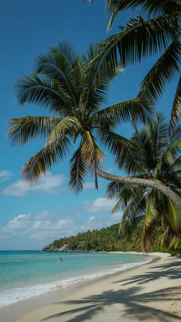 A secluded white-sand beach curves beneath towering palm trees, with crystal-clear turquoise waves gently lapping the shore under a radiant blue sky.