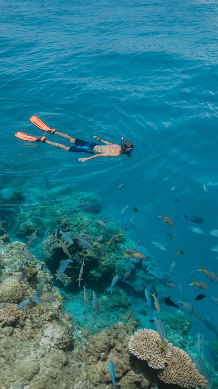 A lone snorkeler floats in clear turquoise water as sunlight illuminates a vibrant coral reef teeming with colorful fish.