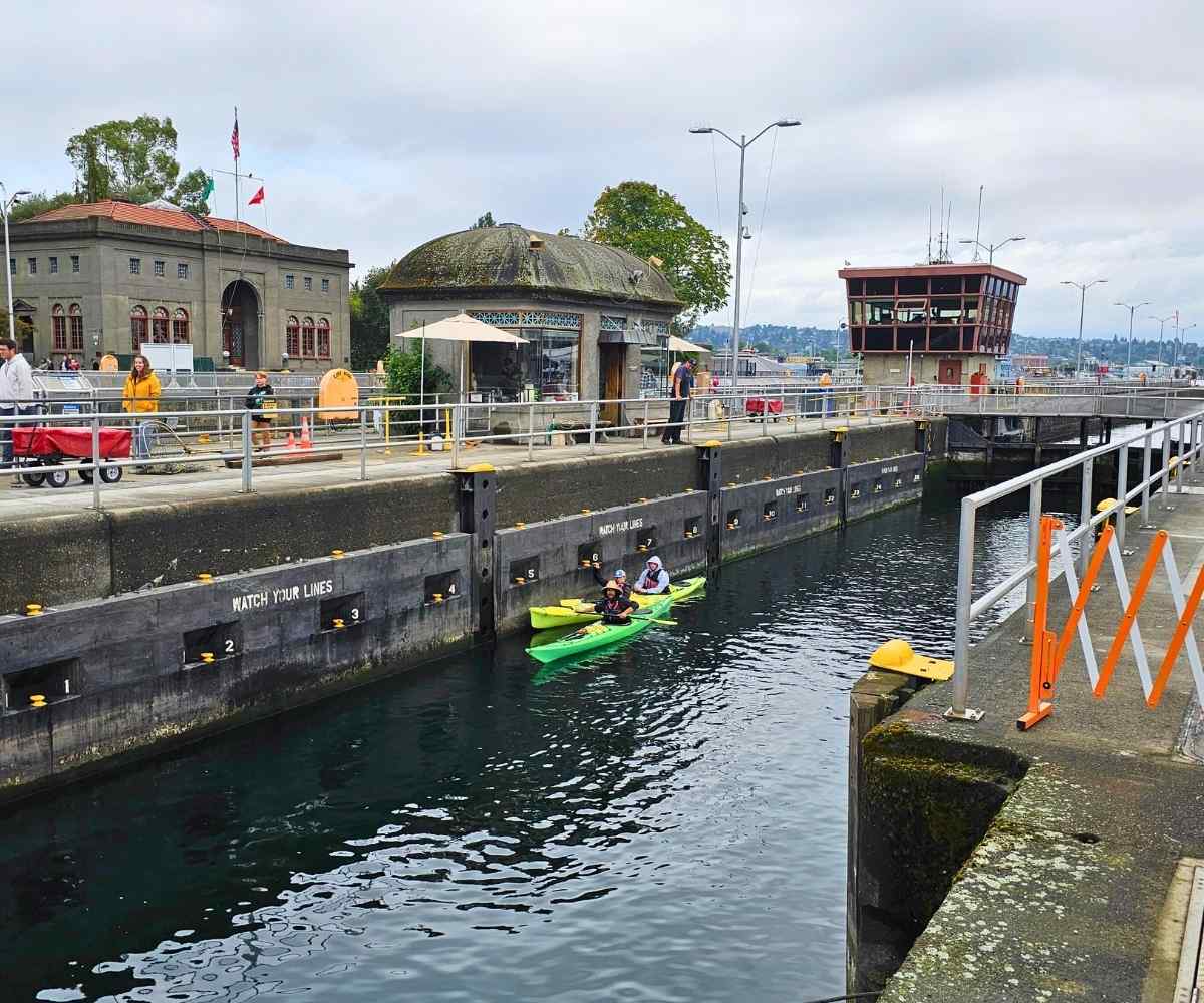 Cruise Port of Seattle in the USA - Locks