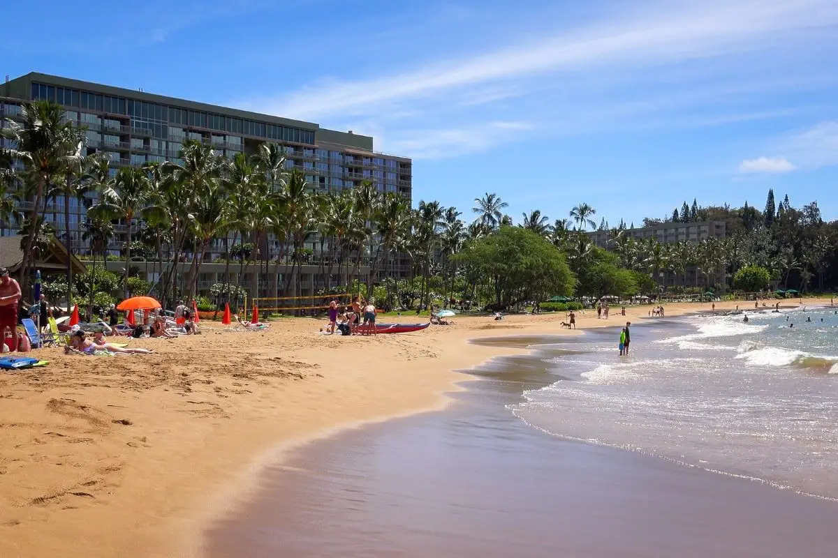 Kalapaki Beach with Kauai Marriott Resort hotel, palm trees, swimmers and golden sand