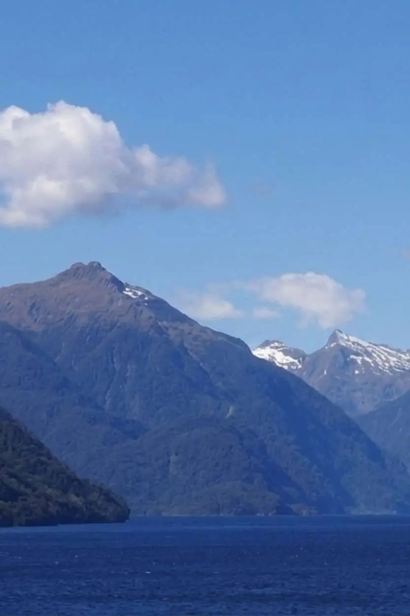 Dusky Sound Scenic Cruising in Fiordland National Park (1)