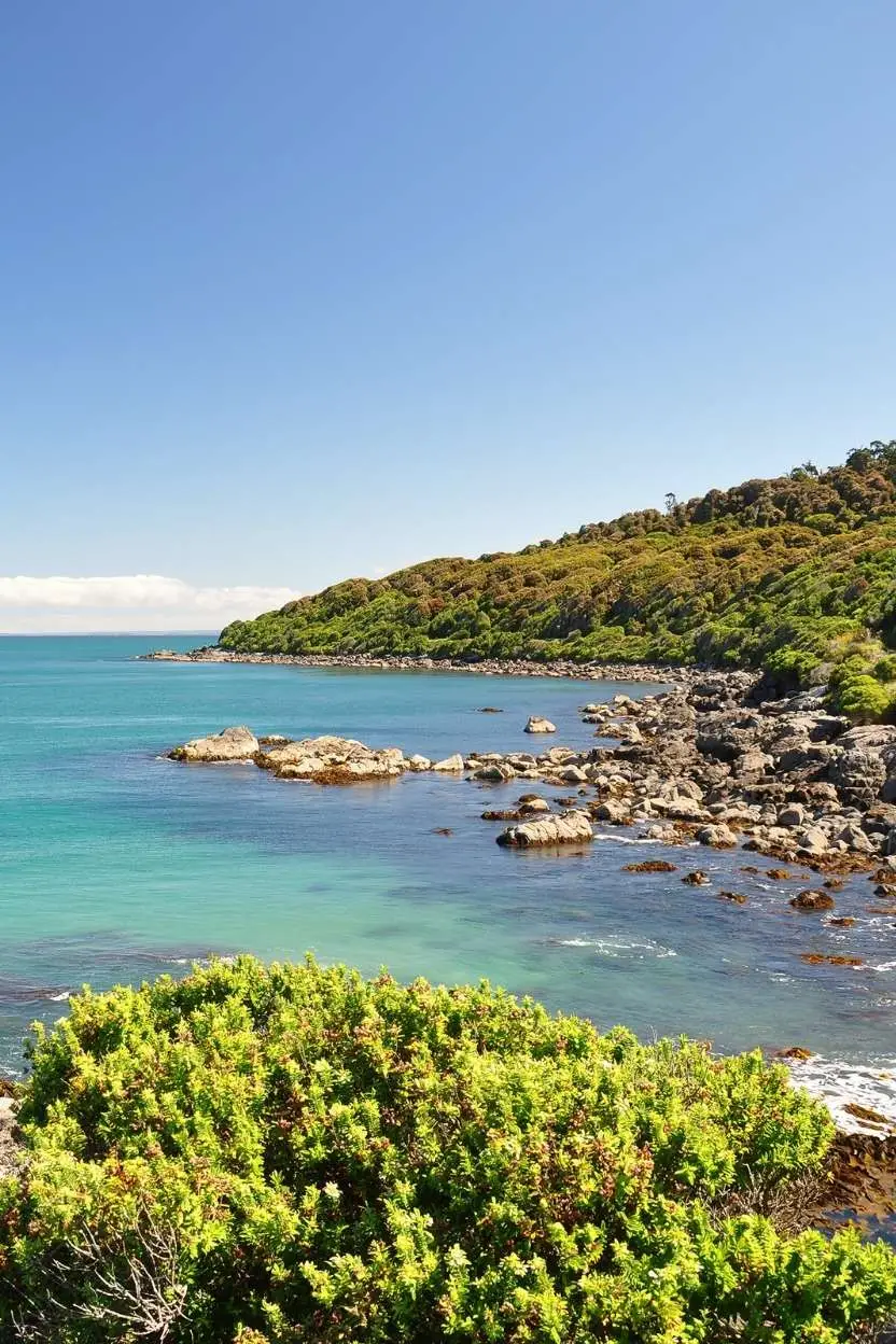 Rocky beach in Bluff, New Zealand