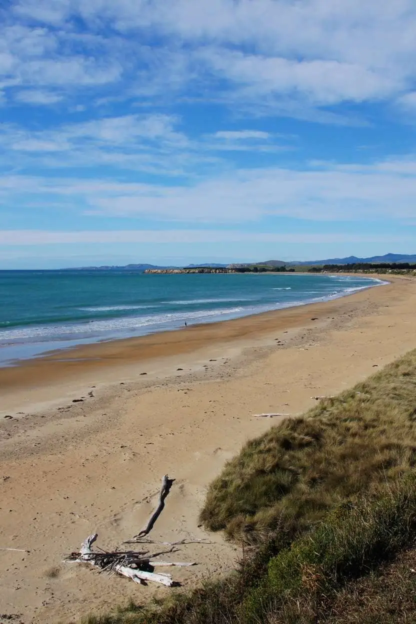 Timaru Cruise Ship Port Guide