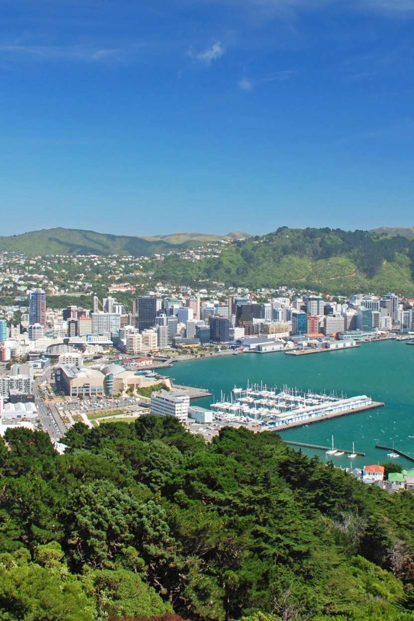 Wellington Cruise Ship Port Guide