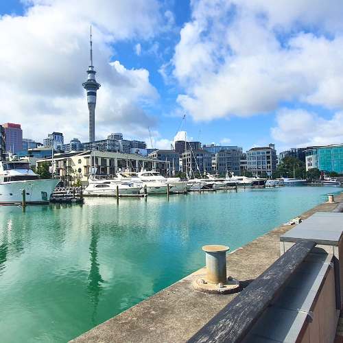 Auckland waterfront marina with Sky Tower in the background, New Zealand