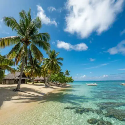 Pristine tropical beach with palm trees and crystal clear water, Pacific Islands