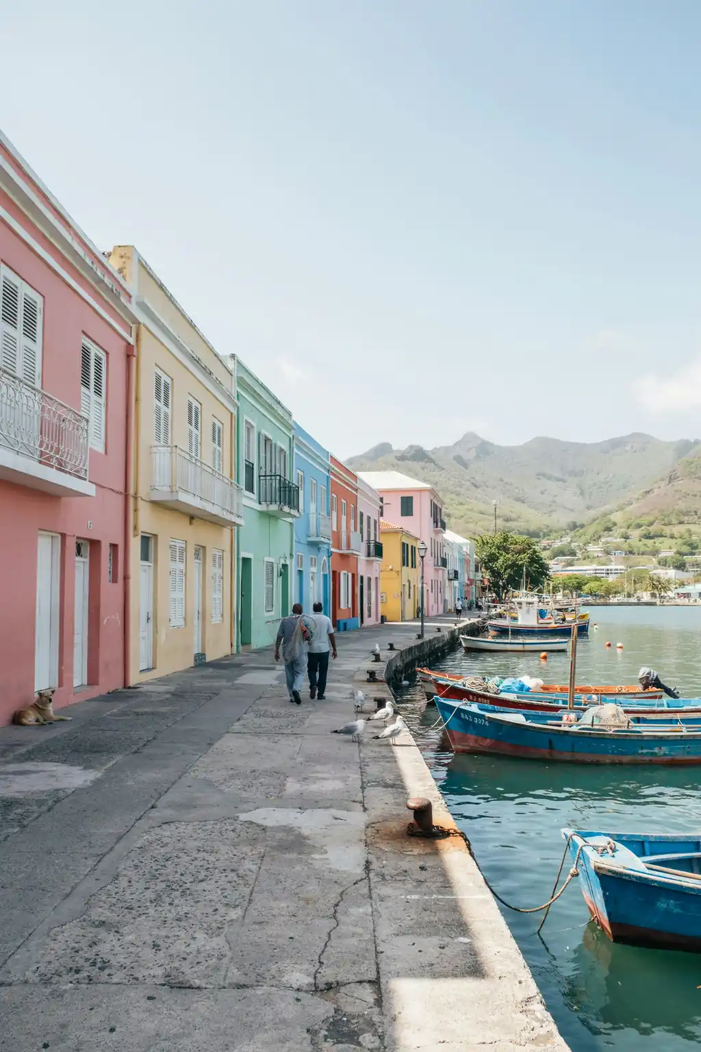 Colourful waterfront buildings along Basseterre harbour on a sunny day