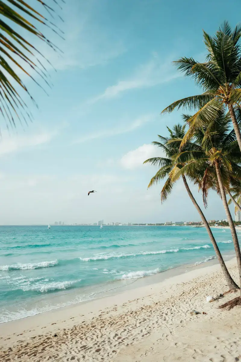 Turquoise sea and sandy beach along the Cancún coastline on a sunny day