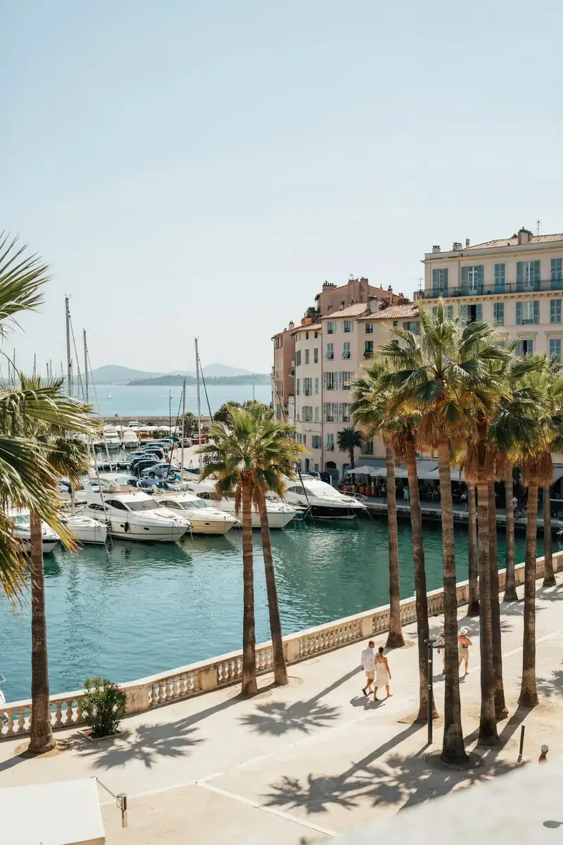 Sunny waterfront harbour in Cannes lined with palm trees and boats