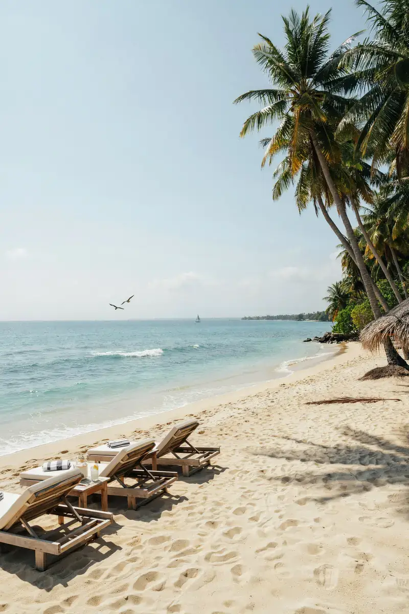 Sandy beach at Carambola Beach Club with palm trees and rows of sun loungers
