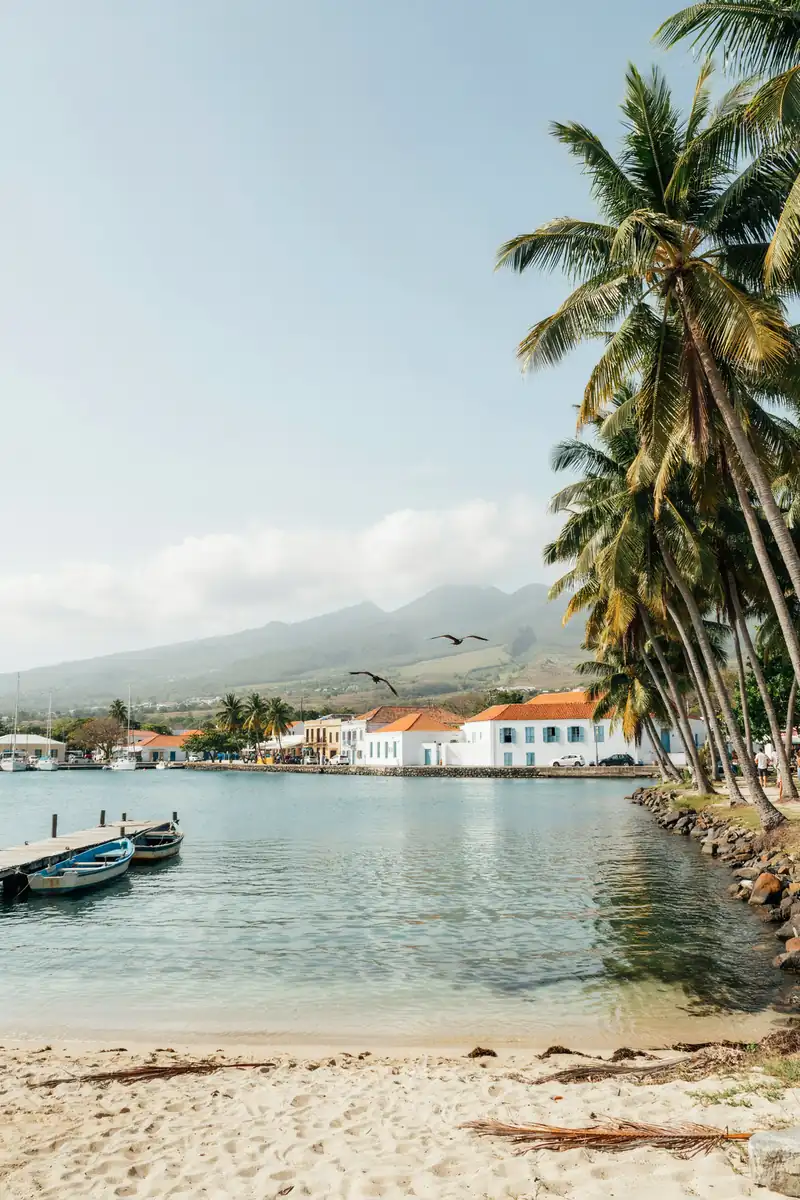 Harbourfront view of Charlestown with palm trees on Nevis island