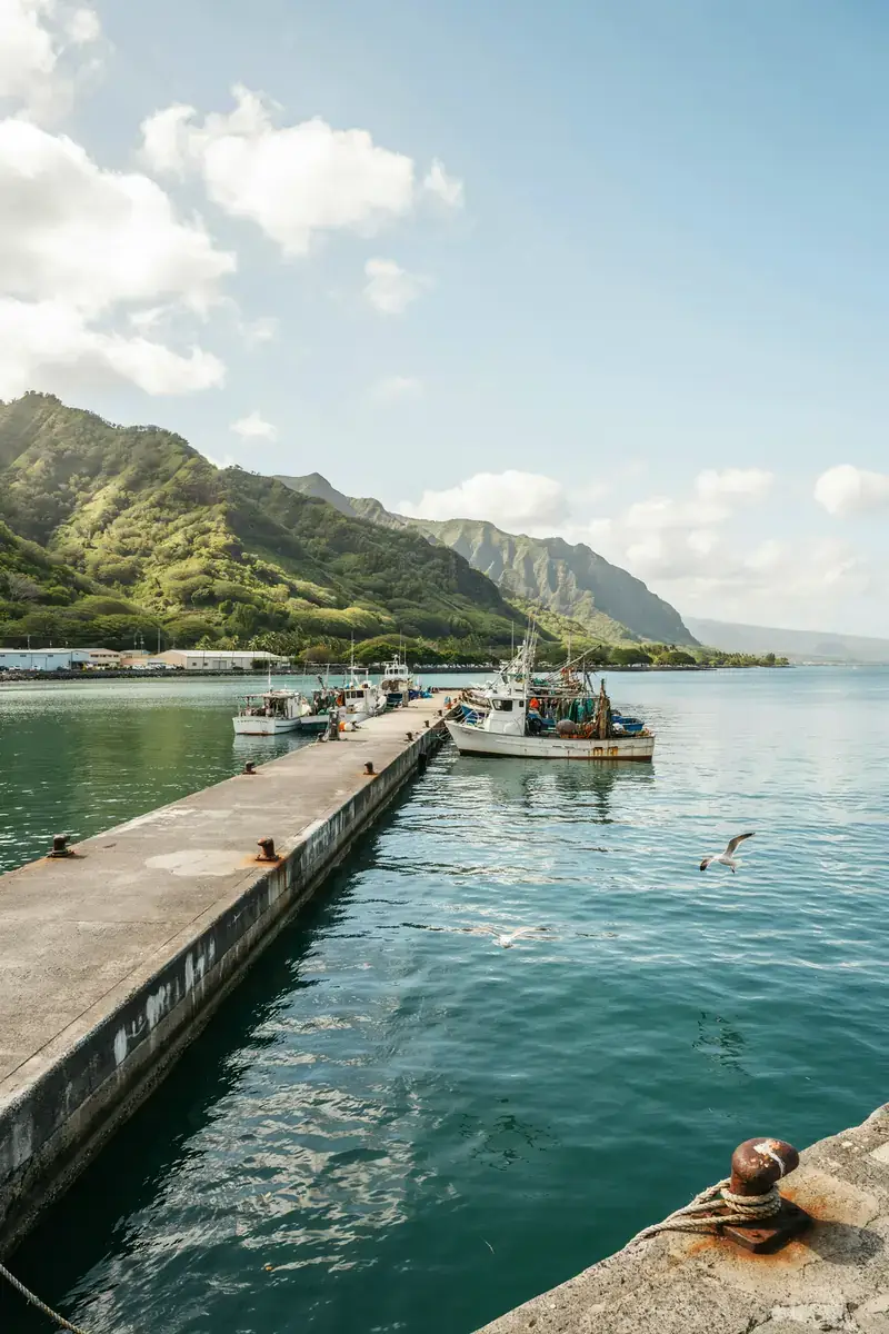View of Kahului harbour with the Maui coastline and mountains in the background on a sunny day