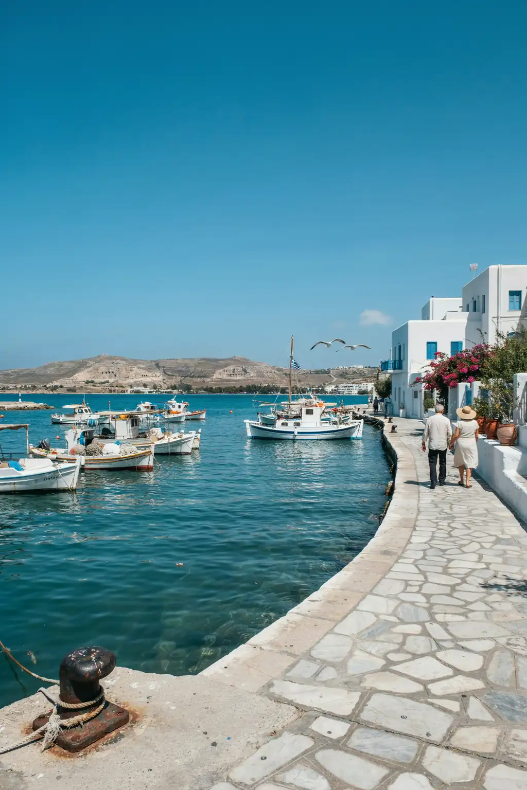 Paphos harbour lined with boats and a coastal promenade under a sunny sky