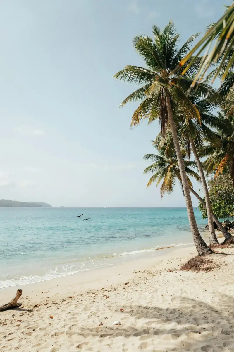Palm-fringed beach with turquoise water at Pigeon Island, St Lucia