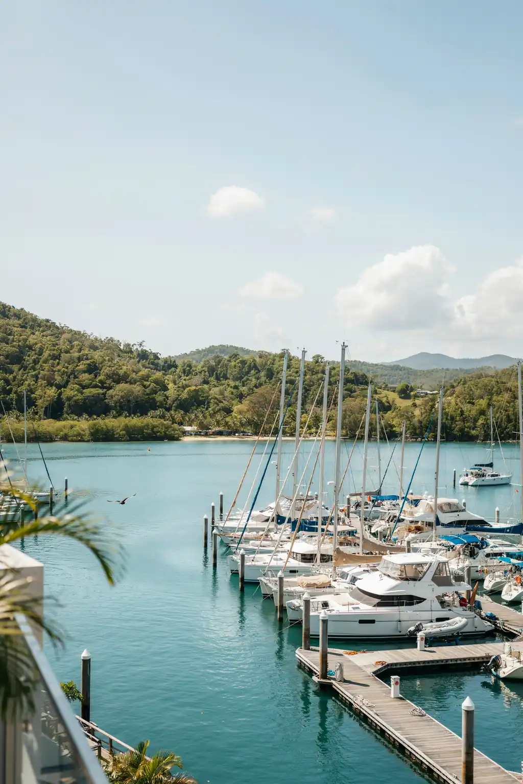 Marina at Airlie Beach with yachts moored against a backdrop of coastal hills