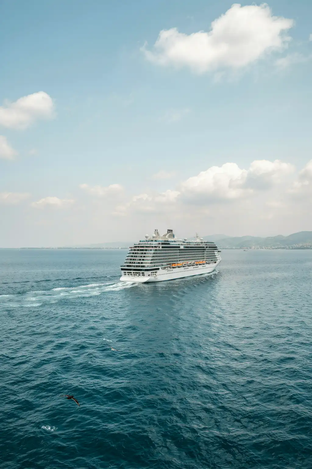 Large cruise ship sailing on the open sea under a clear sky
