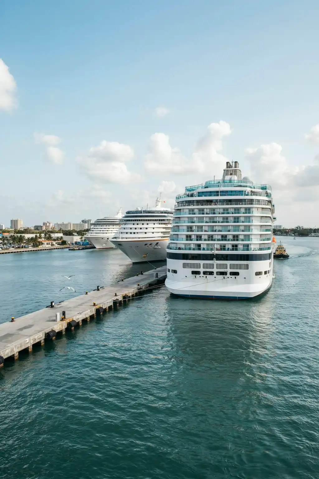 Cruise ships docked at Port Everglades harbour in Florida on a sunny day