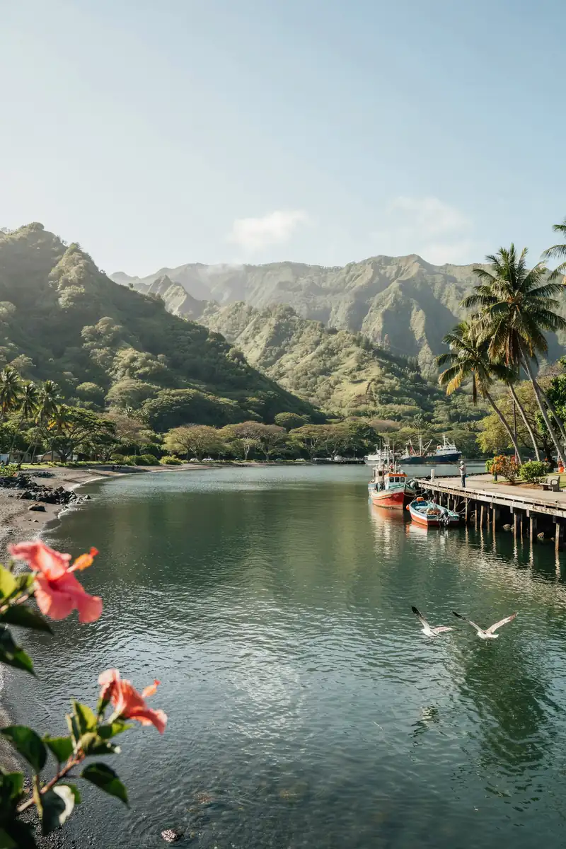 Hilo Bay harbour with lush green mountains in the background