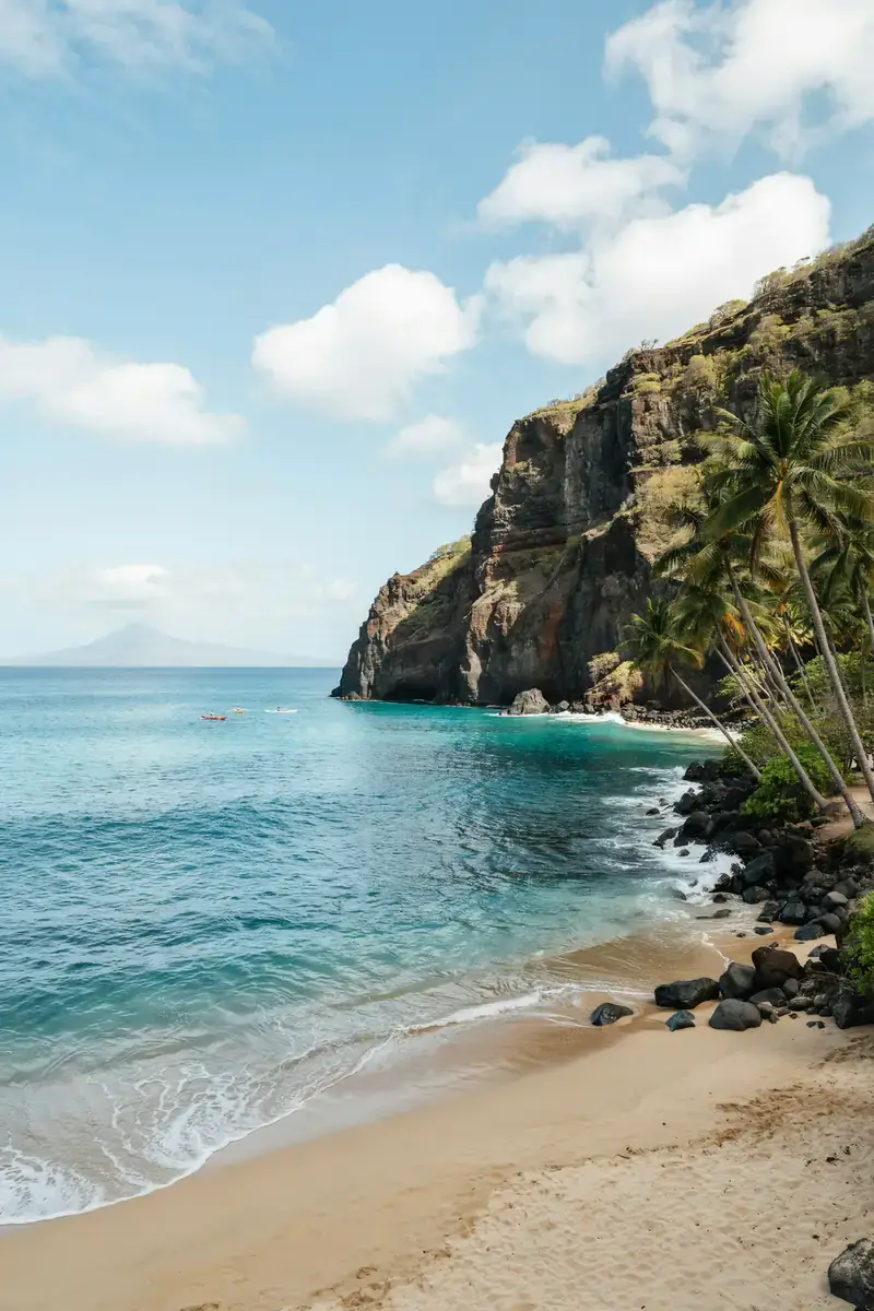 Kailua-Kona coastline with palm trees lining volcanic cliffs above the ocean