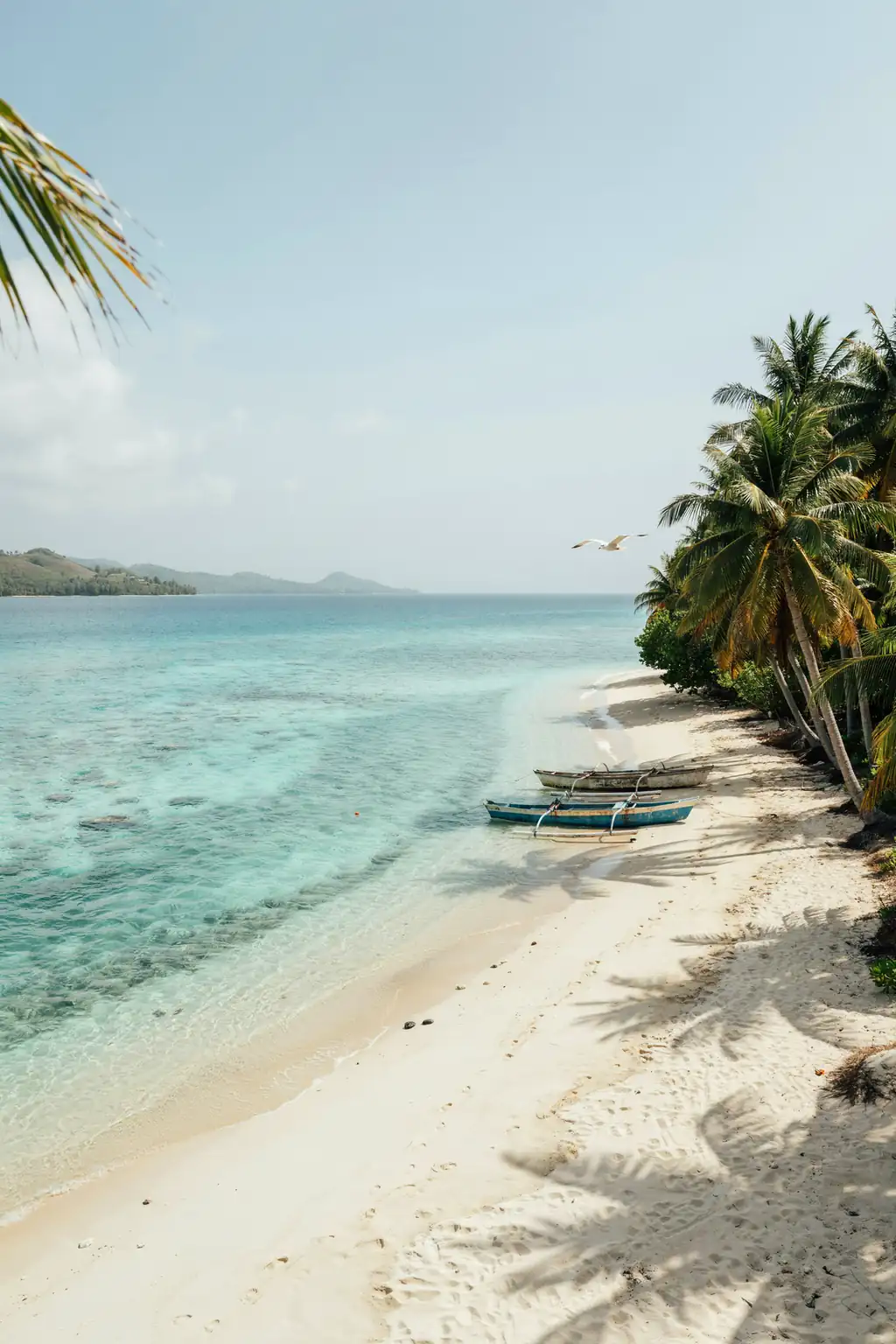 Turquoise lagoon and white sandy beach on Lifou Island