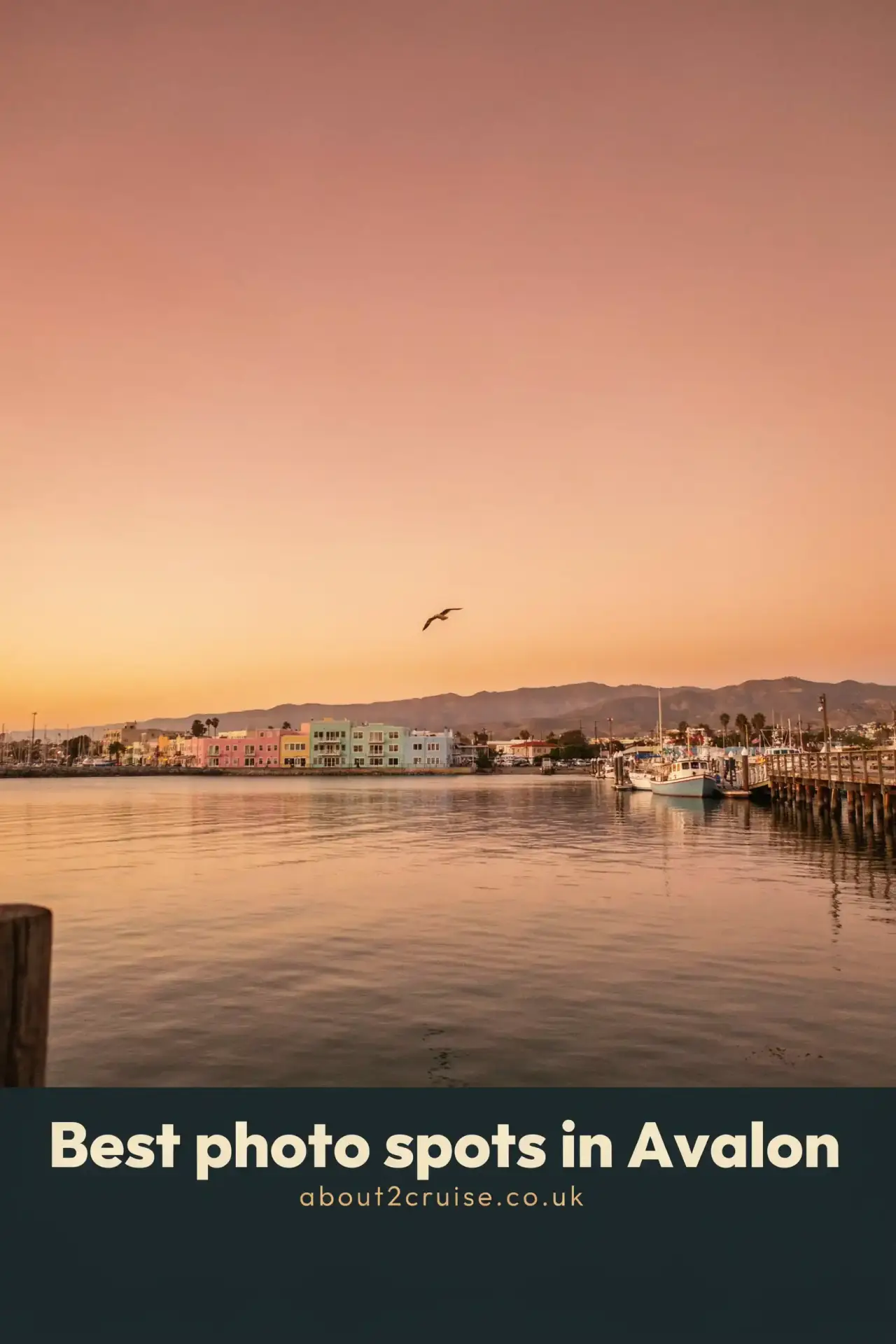 Avalon cruise port: sunset view over the harbour and Casino building, a top photo spot in Avalon, Catalina Island