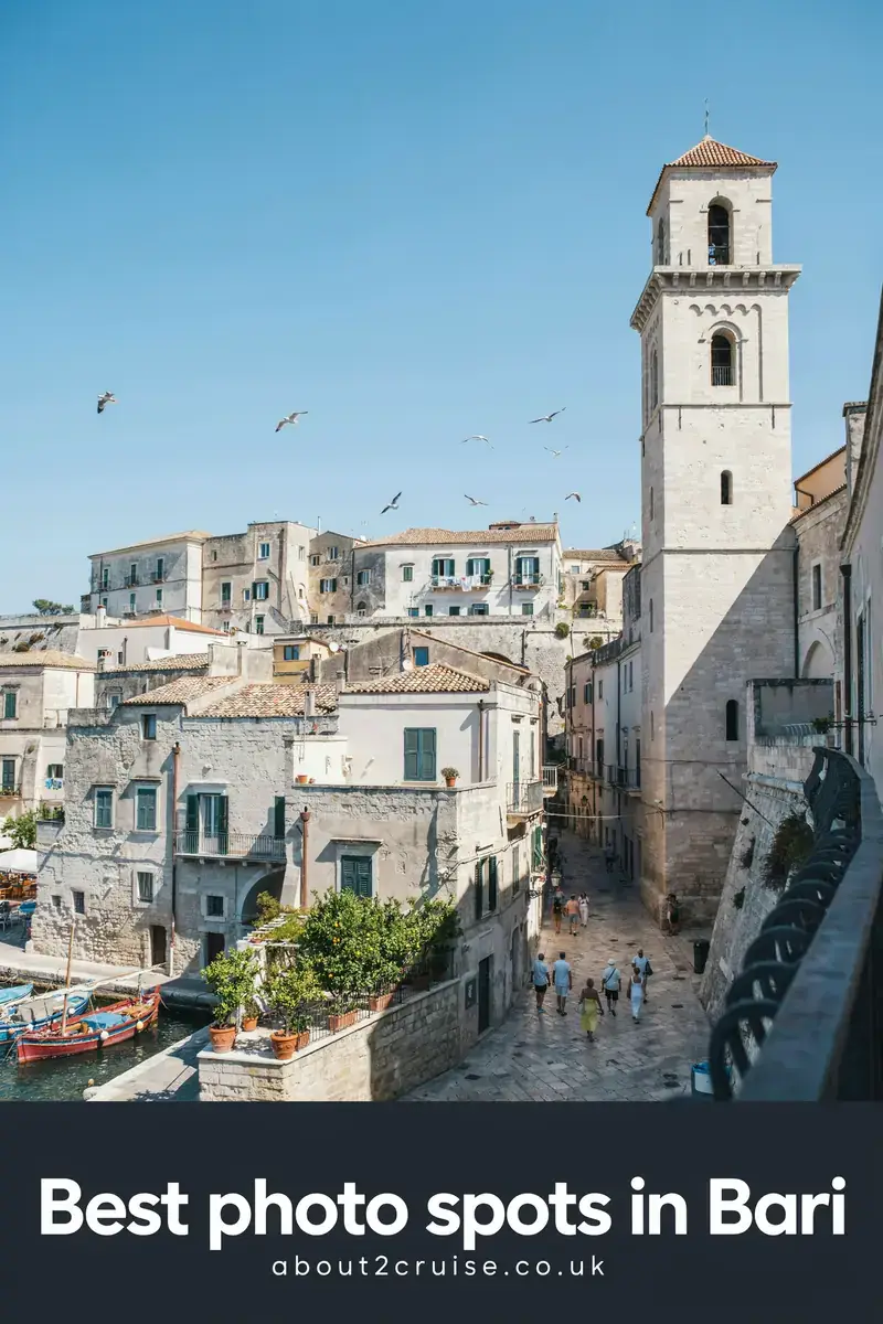 Bari cruise port: seafront promenade with palm trees and old town views, a popular photo spot
